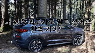 내 SUV, 최고가로 팔고 싶어요! 완벽 가이드